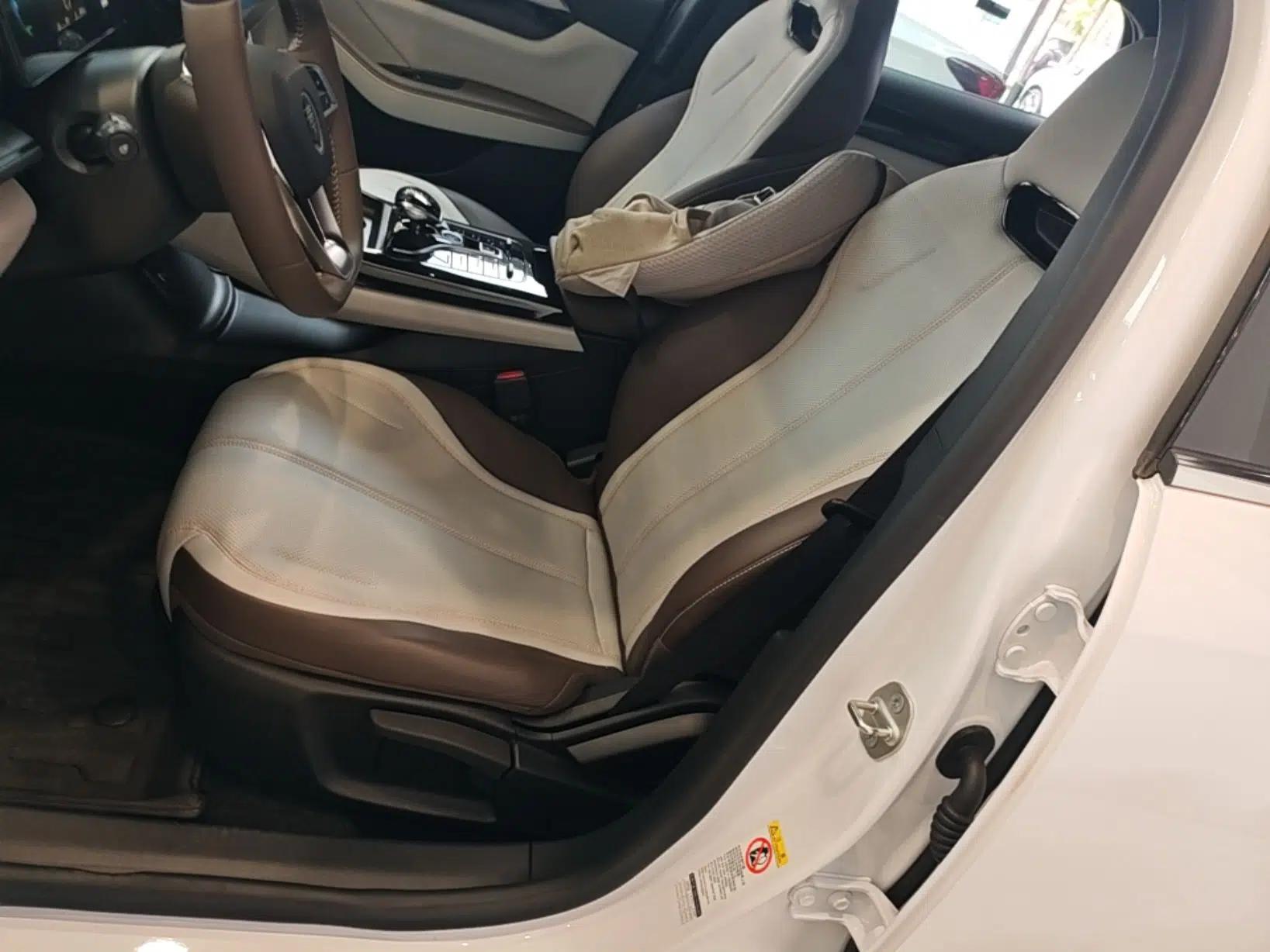 BYD Qin PLUS 2024 HONOR Edition DM-i 55KM Leading Model — миниатюра 18