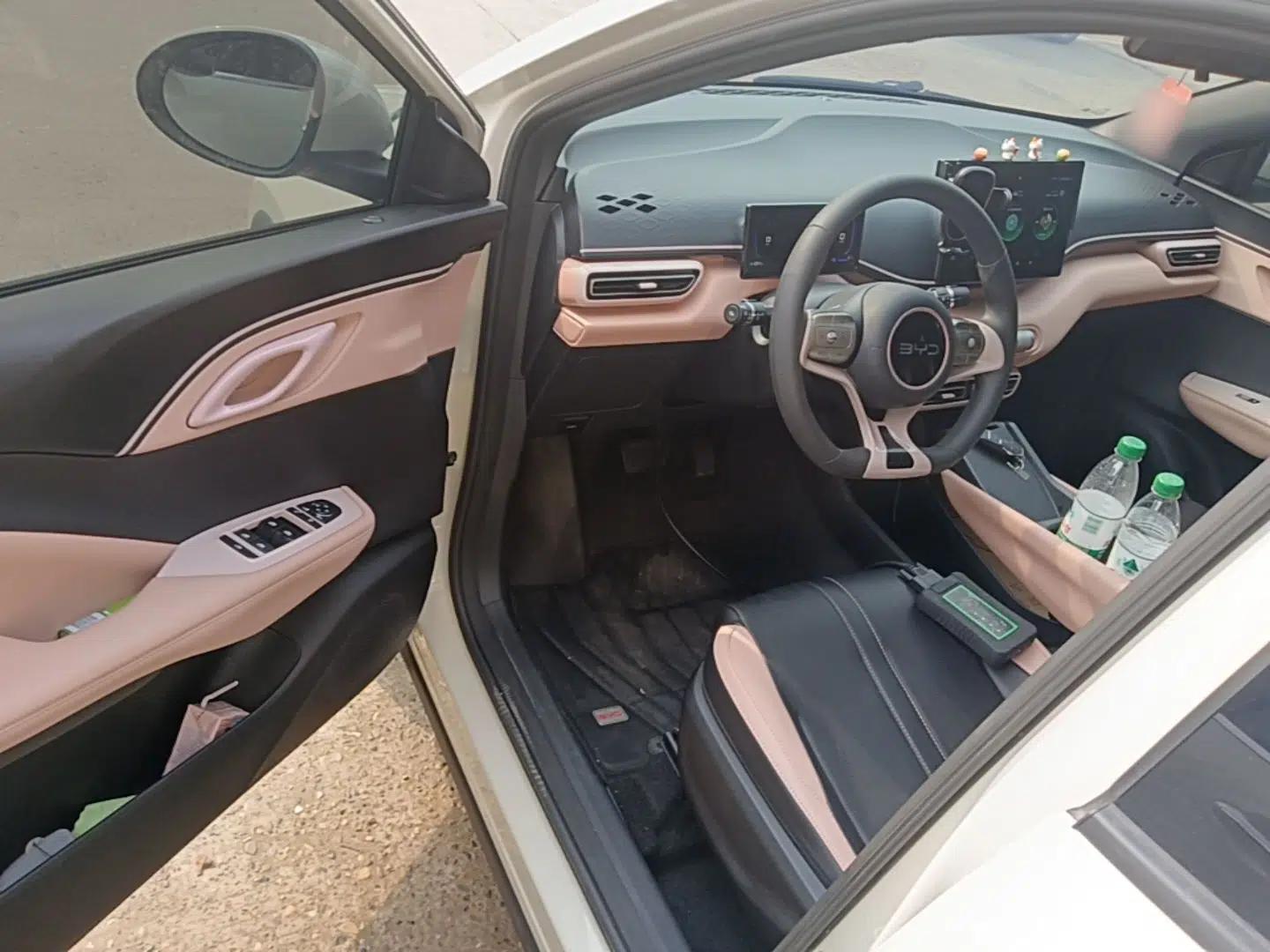 BYD Seagull 2024 Honor Edition 305km Dynamic Version — миниатюра 19