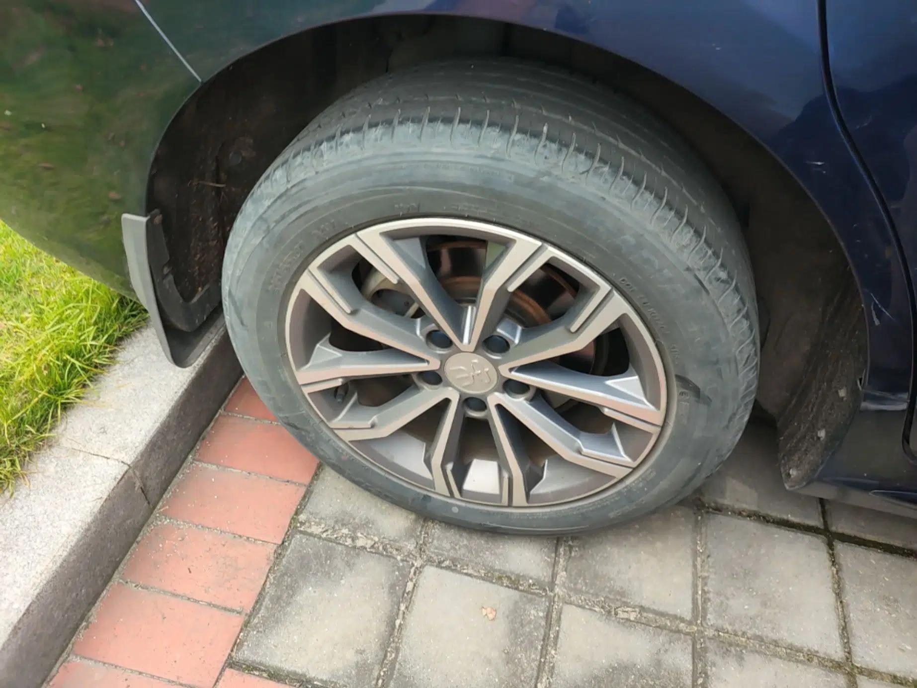 BYD Song MAX 2019 1.5T Automatic Smart Connect Ruiyi Model 6-Seater China V Standard — миниатюра 10