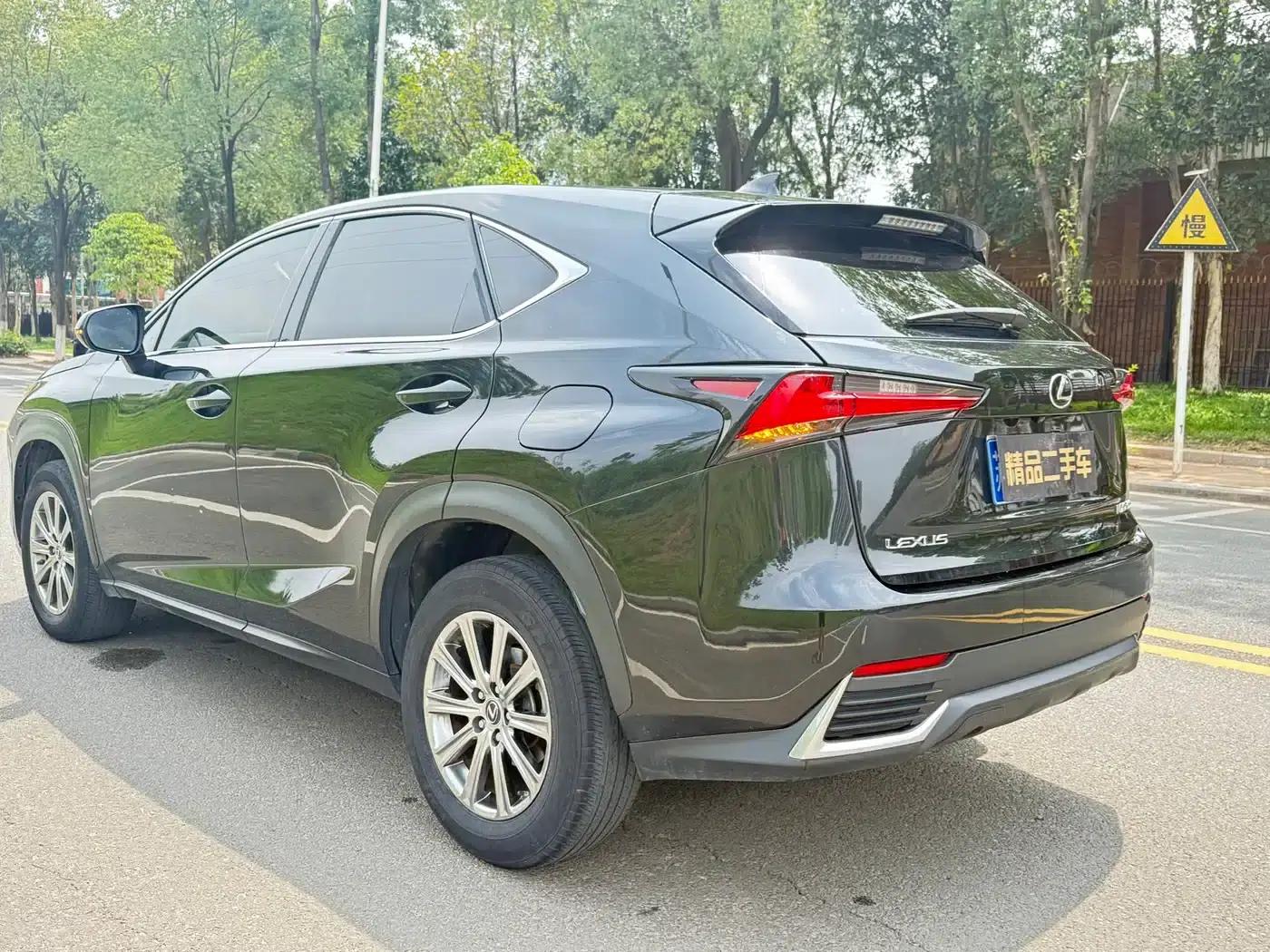 Lexus NX 2020 200 FWD Avant Edition (China VI Emission Standard) — миниатюра 5