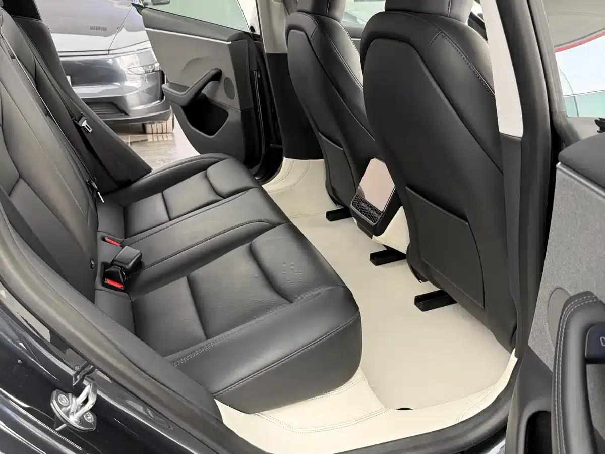 Model 3 2023 Rear-Wheel Drive — миниатюра 7