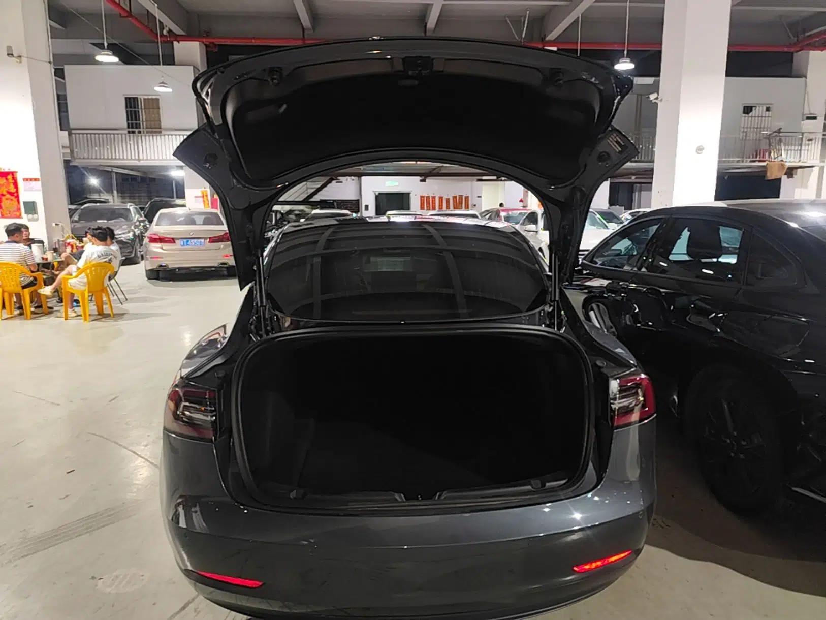 Tesla Model 3 2019 Standard Range Rear-Drive Upgraded Version — миниатюра 21