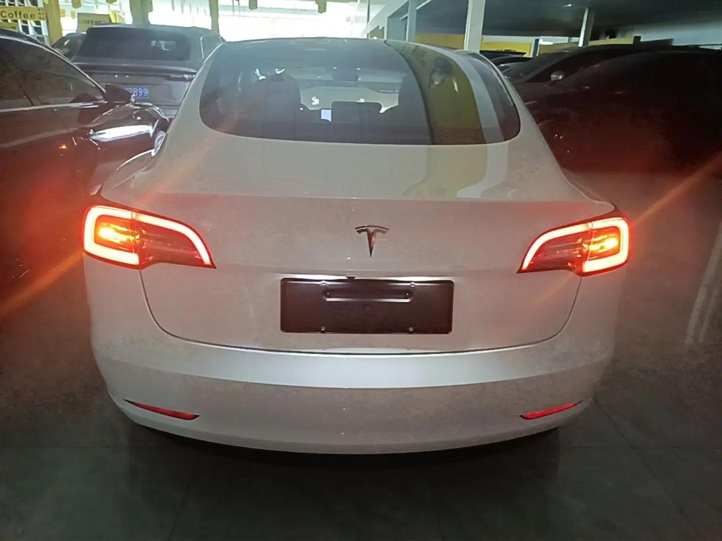 Tesla Model 3 2020 Standard Range Rear-Wheel Drive Upgraded Version — миниатюра 3