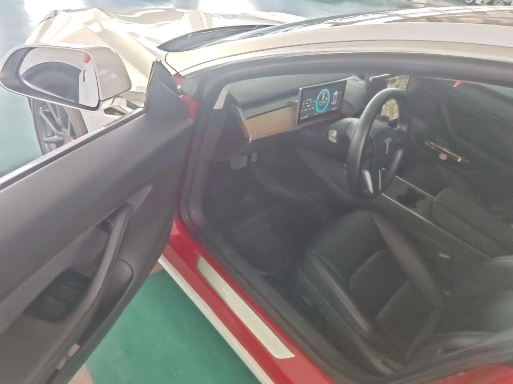 Tesla Model 3 2019 Standard Range Rear-Drive Upgraded Version — миниатюра 19