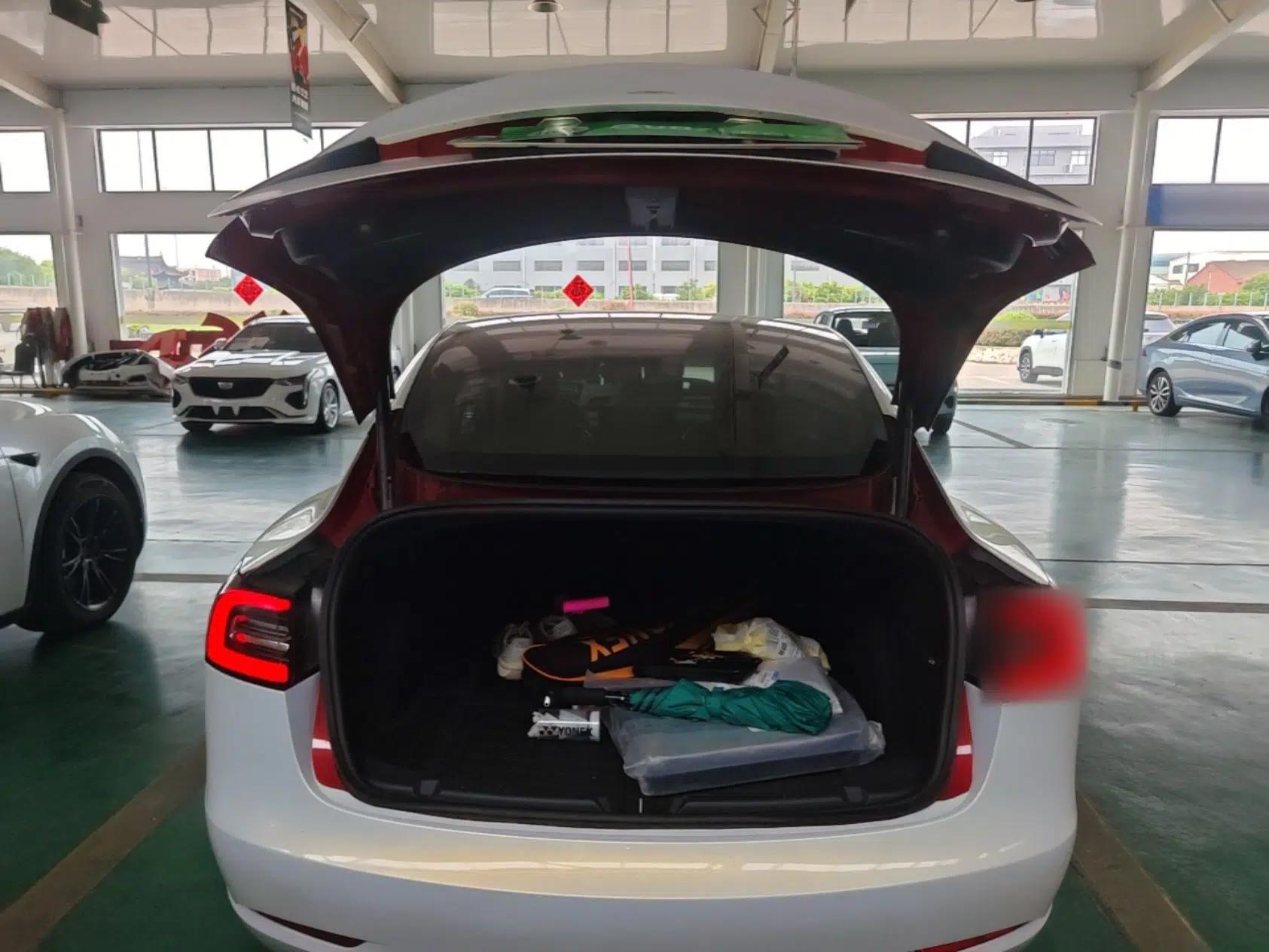 Tesla Model 3 2019 Standard Range Rear-Drive Upgraded Version — миниатюра 22