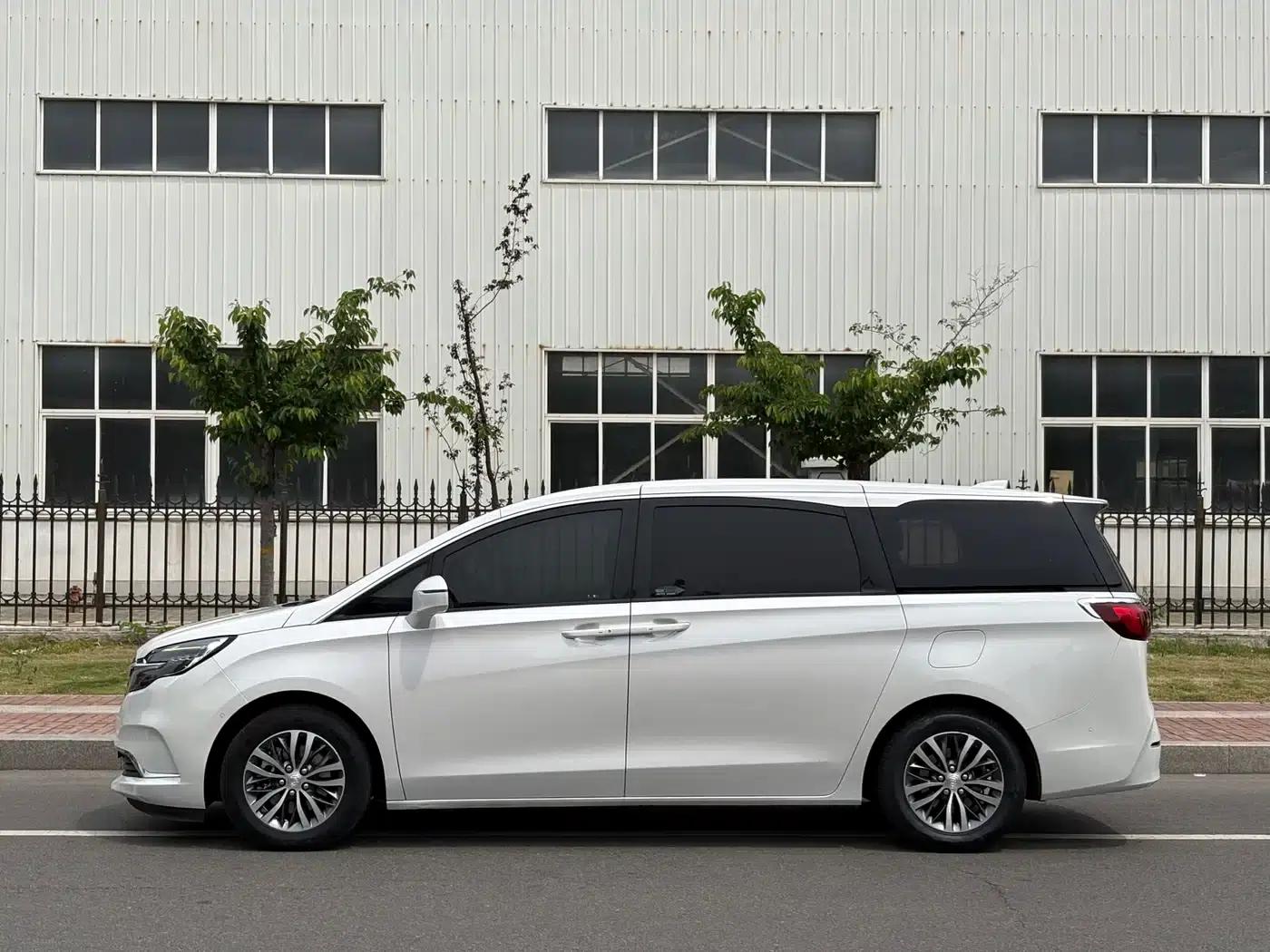 Buick GL8 2020 ES Avantgarde 653T Premium Edition — миниатюра 5