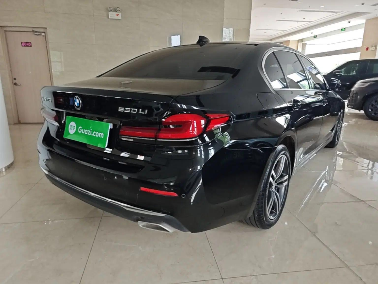 BMW 5 Series 2023 530Li Leading Edition Luxury Package — миниатюра 6