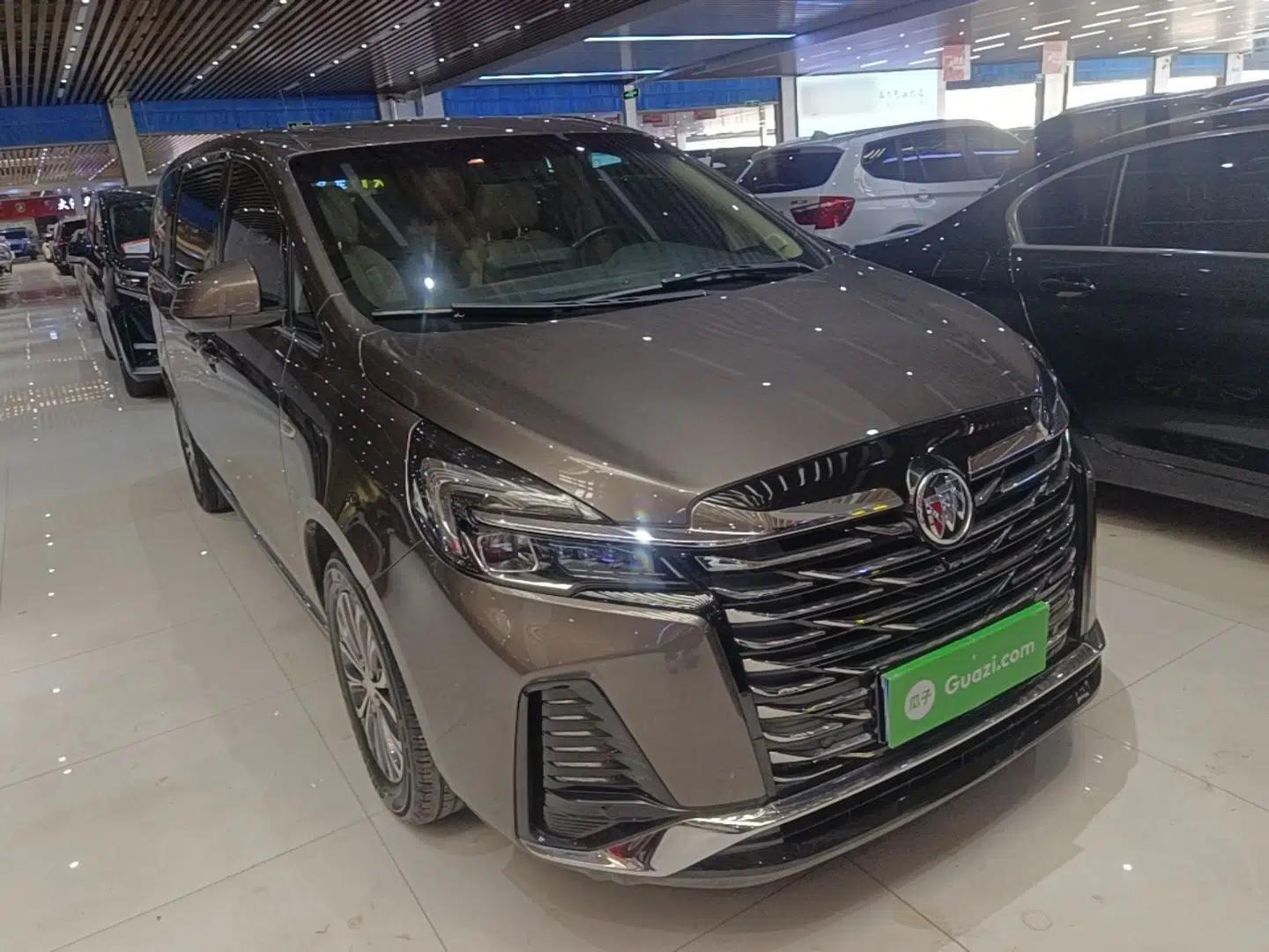 Buick GL8 2023 Facelifted Land Cruiser Executive Luxury Version — миниатюра 3