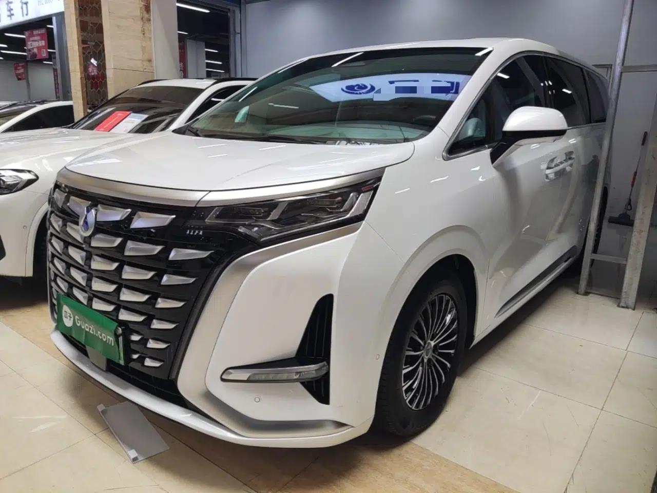 Denza D9 2022 DM-i 970 Four-Wheel Drive Flagship Model — миниатюра 1