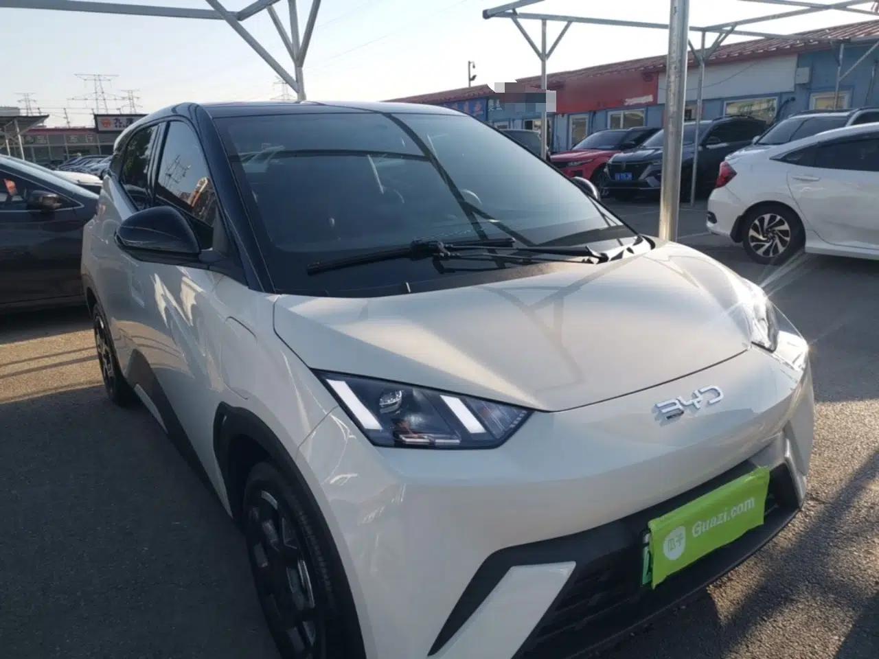 BYD Seagull 2025 305 km Free Version — миниатюра 3