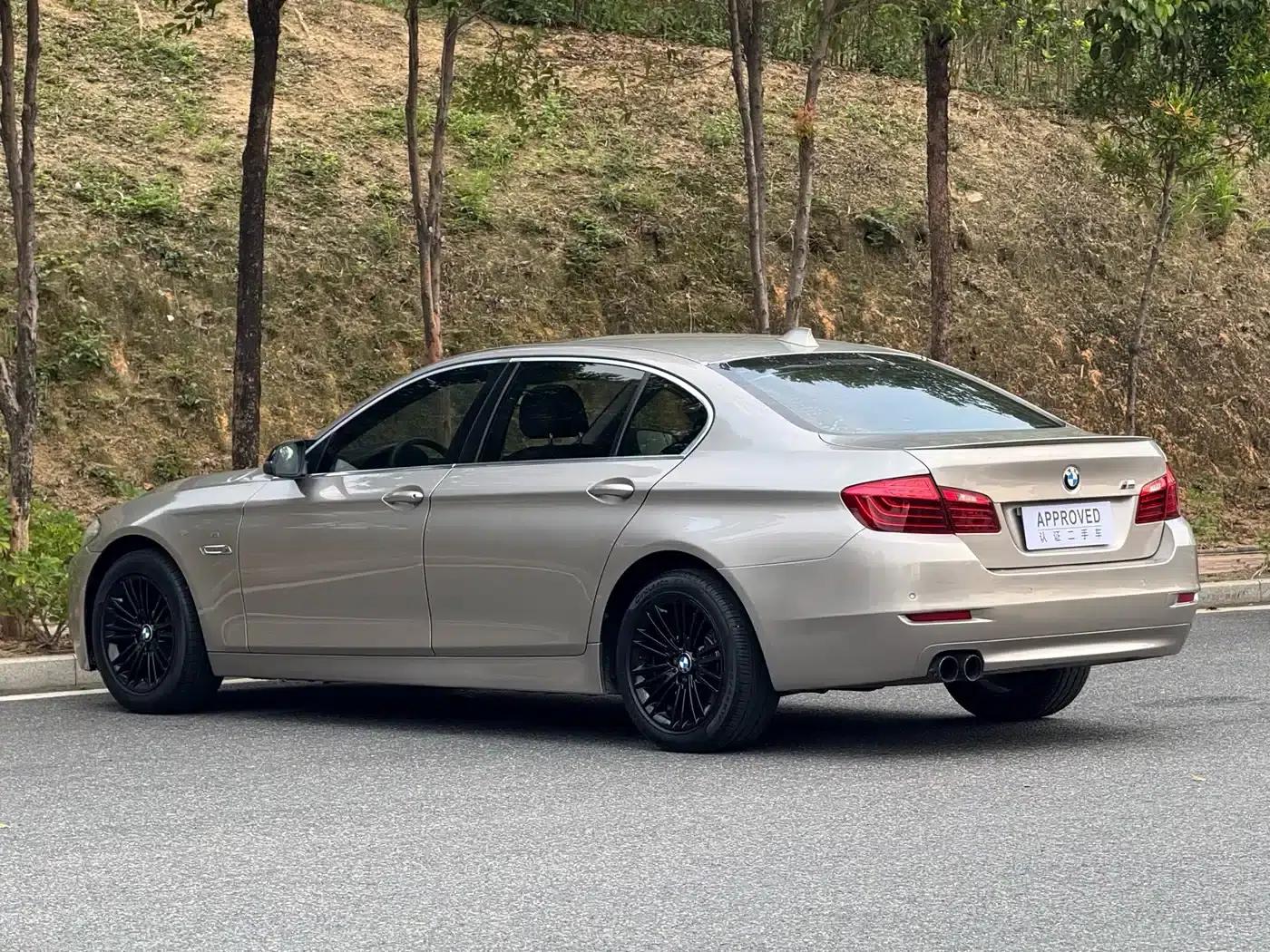 2014 BMW 5 Series 525Li Leading Edition — миниатюра 6