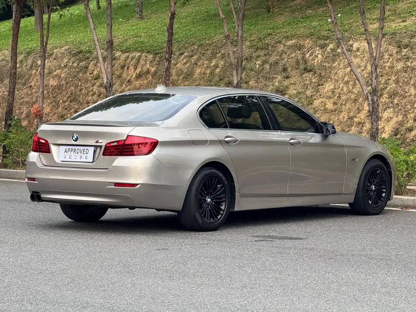 2014 BMW 5 Series 525Li Leading Edition — миниатюра 8