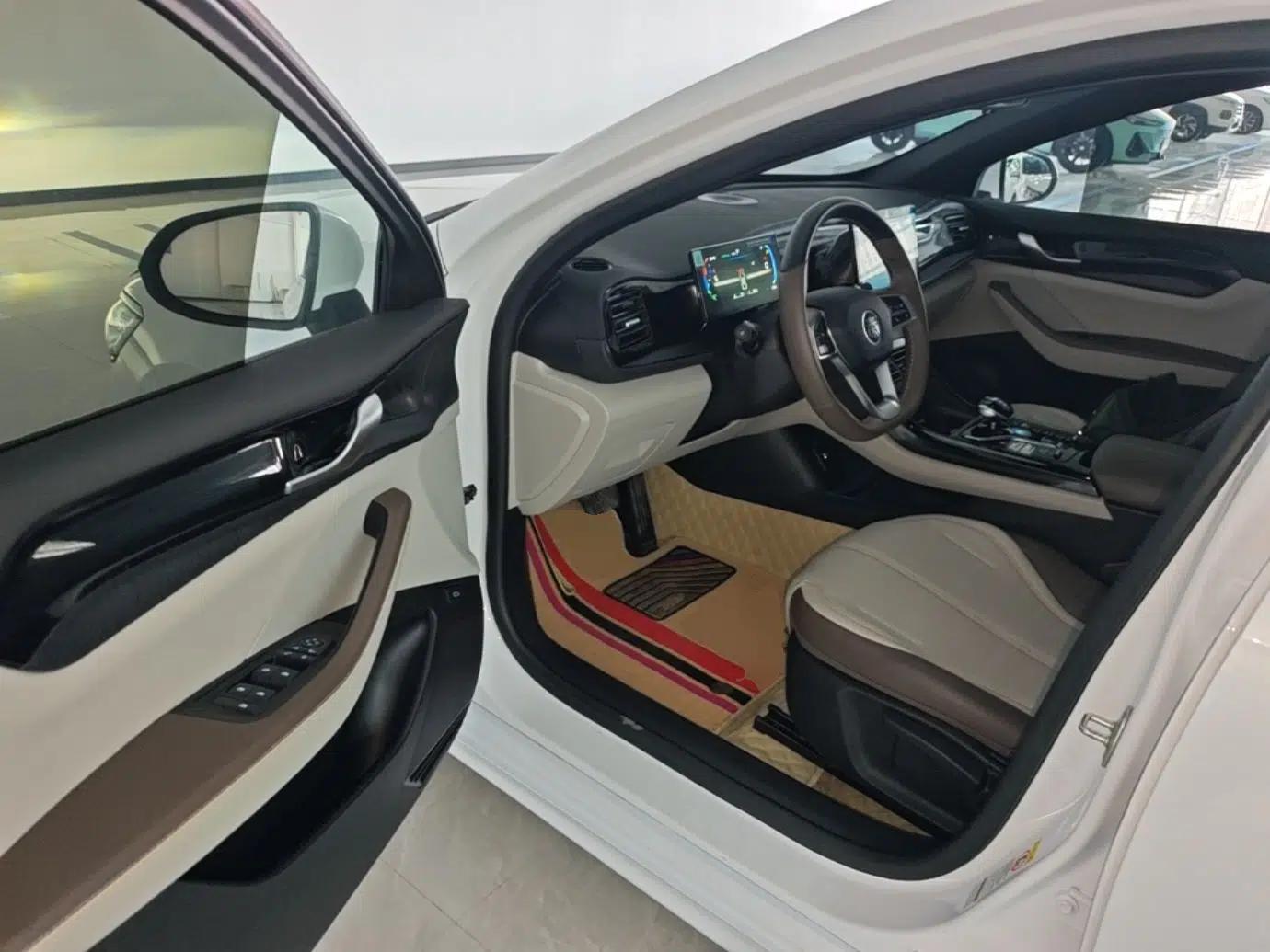 BYD Qin PLUS 2024 HONOR Edition DM-i 55KM Leading Model — миниатюра 19