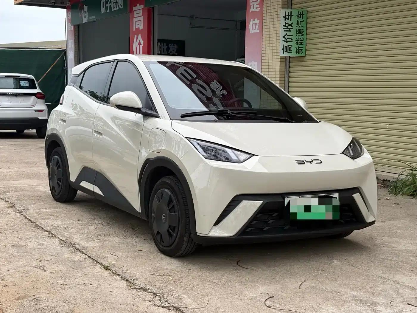 Seagull 2024 Glory Edition 305km/h Vitality Edition — миниатюра 3