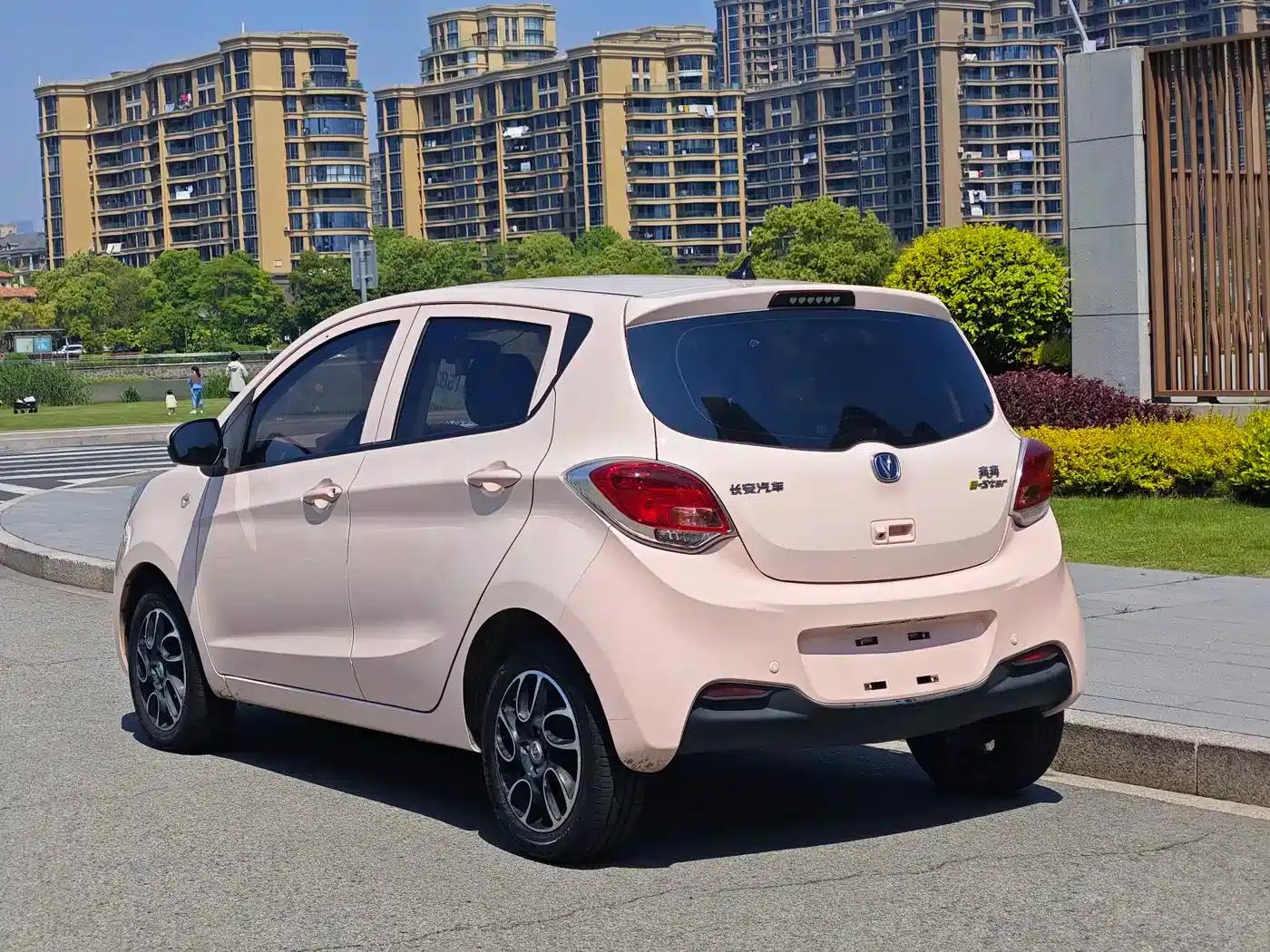 Changan Benben E-Star 2021 National Edition Heartfelt Edition Lithium Iron Phosphate (31.18kWh) — миниатюра 4