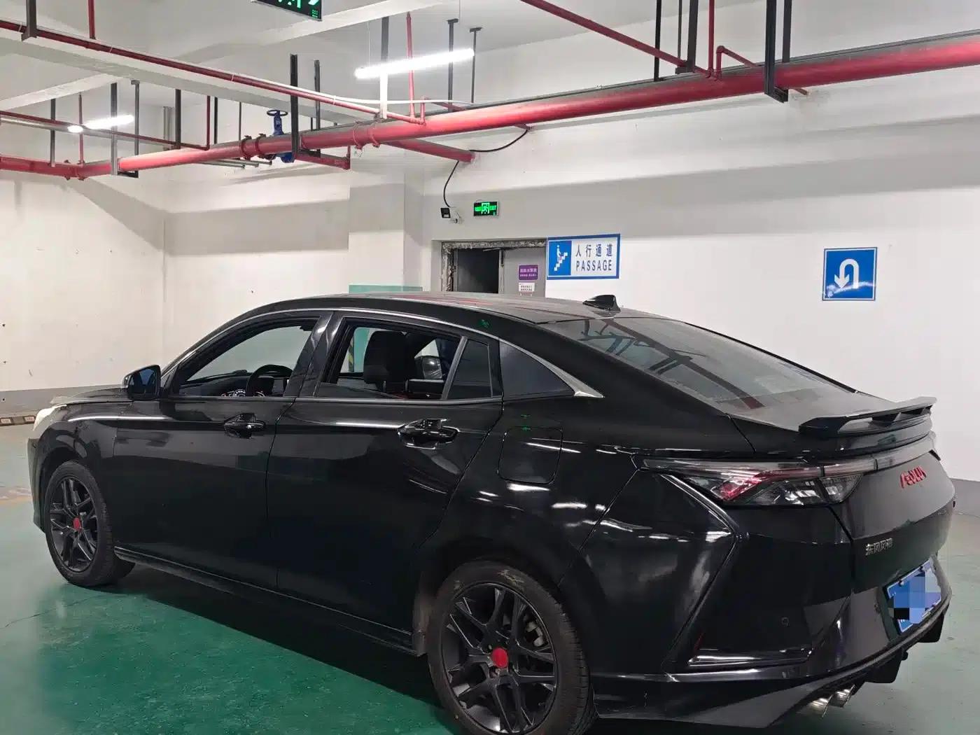 Aeolus Yixuan 2022 230T Automatic Tiger Roar Edition — миниатюра 3