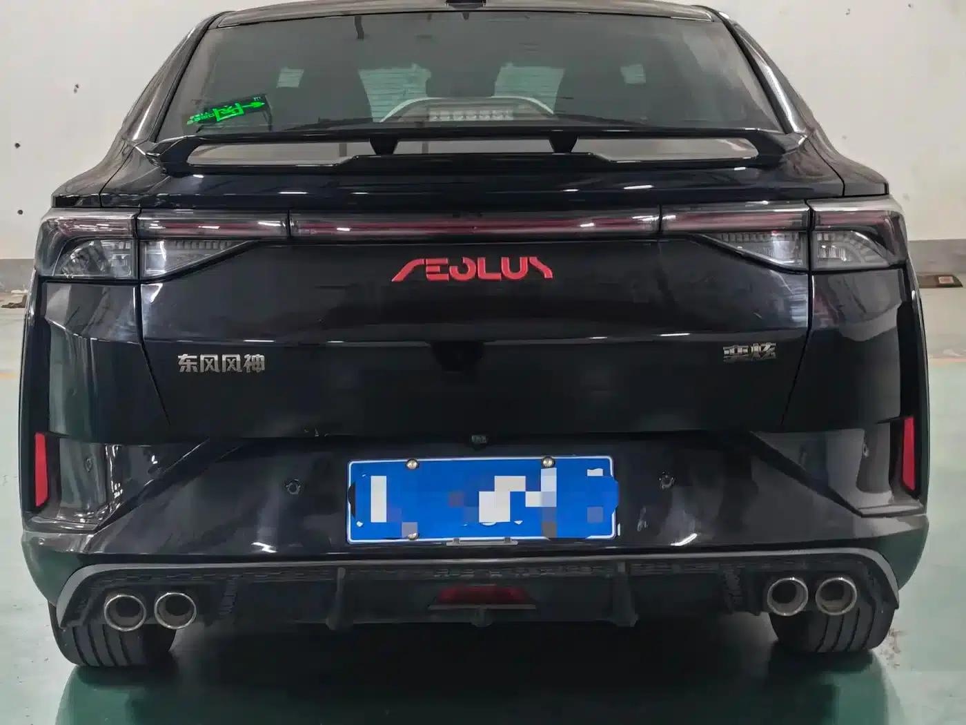 Aeolus Yixuan 2022 230T Automatic Tiger Roar Edition — миниатюра 4