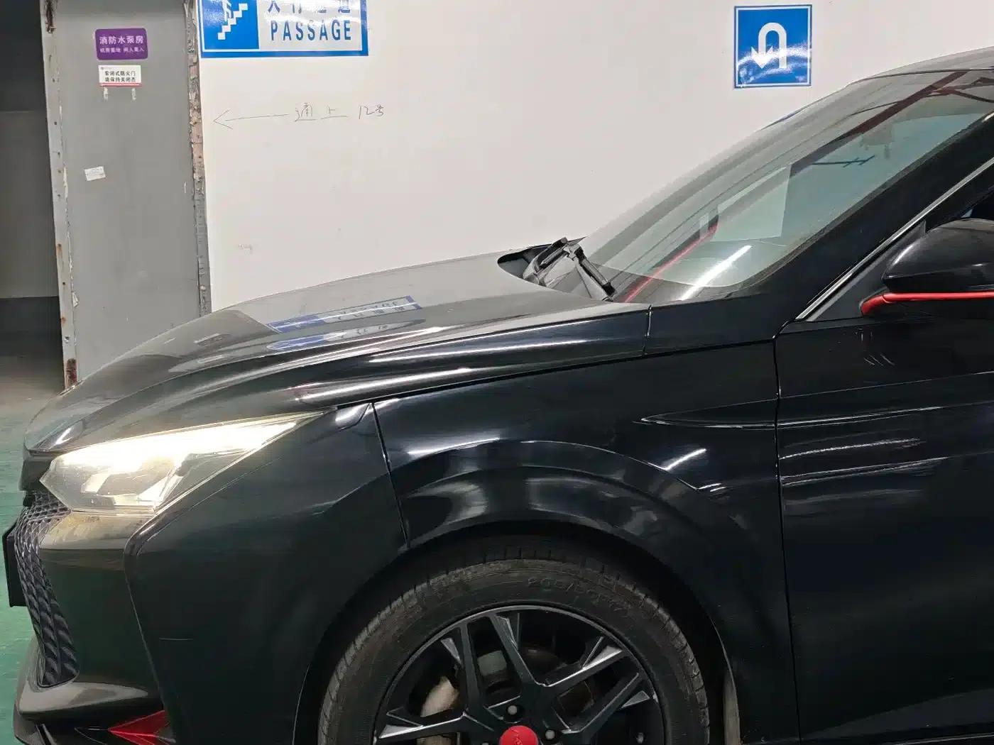 Aeolus Yixuan 2022 230T Automatic Tiger Roar Edition — миниатюра 6