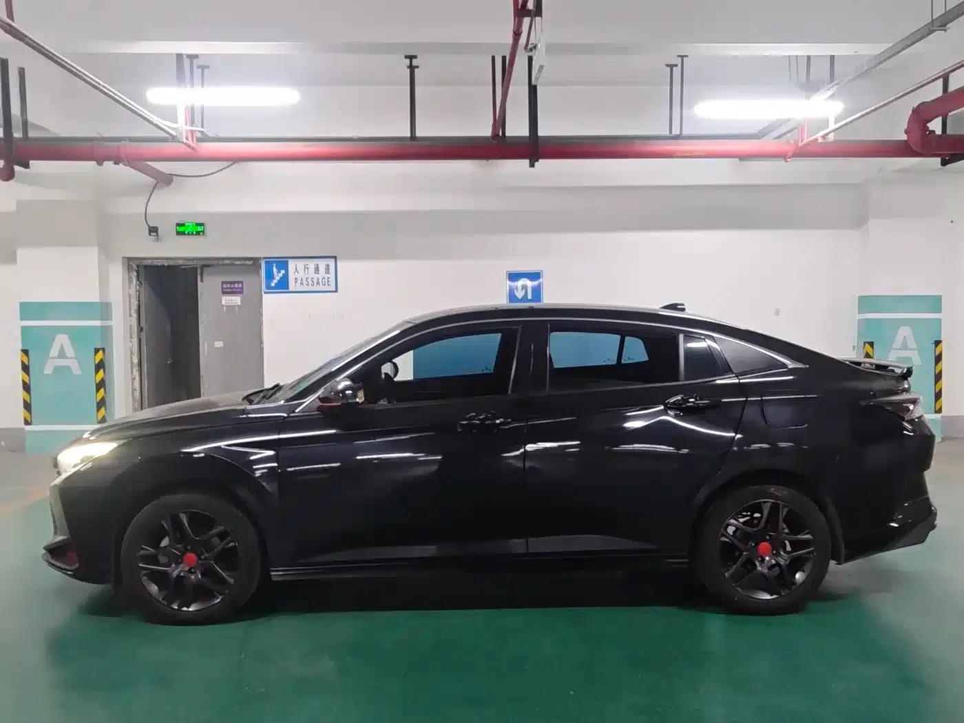 Aeolus Yixuan 2022 230T Automatic Tiger Roar Edition — миниатюра 7