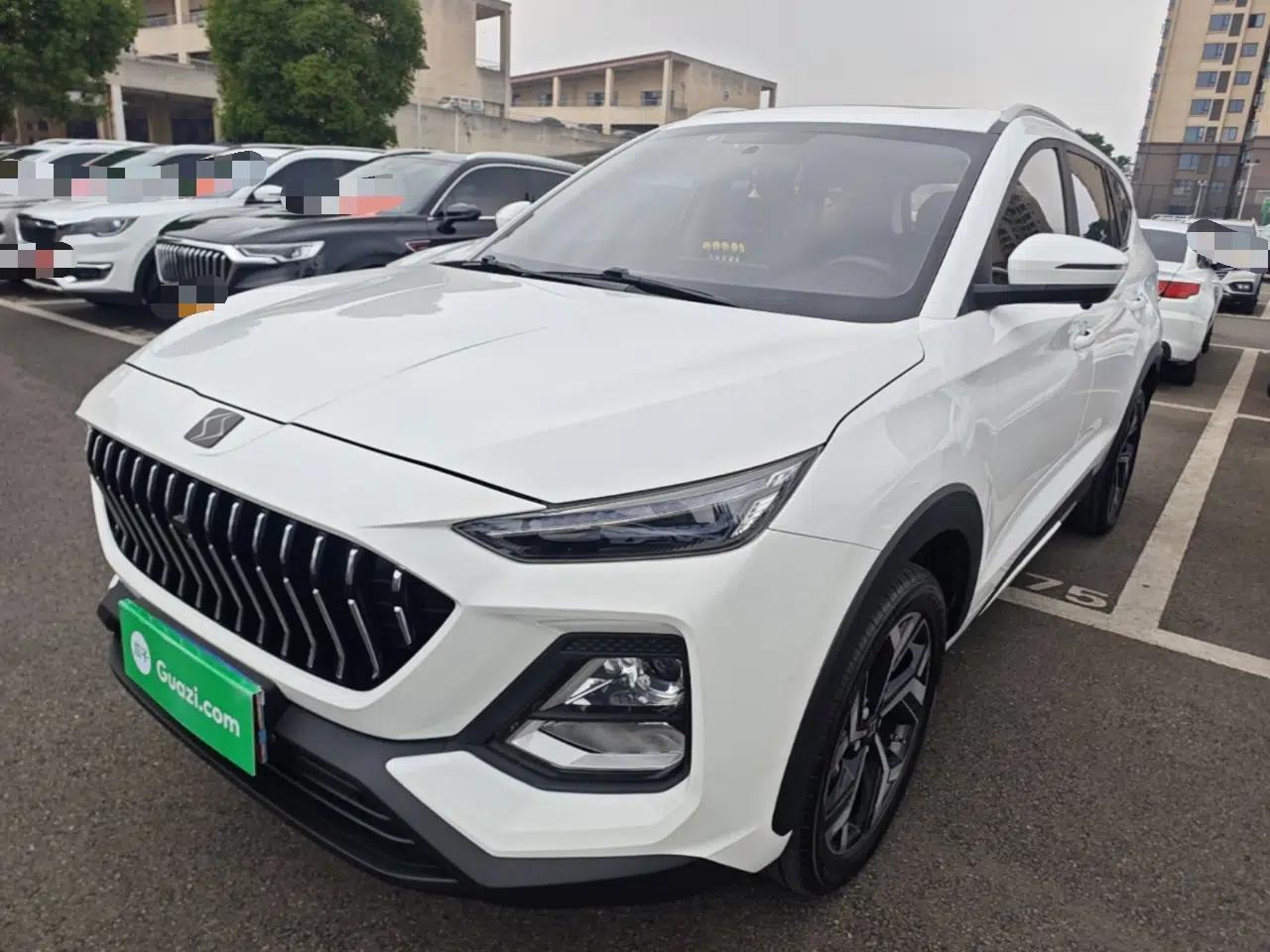 SOL X8 2021 300T DCT Luxury Smart Connect Edition 7 Seats — миниатюра 1
