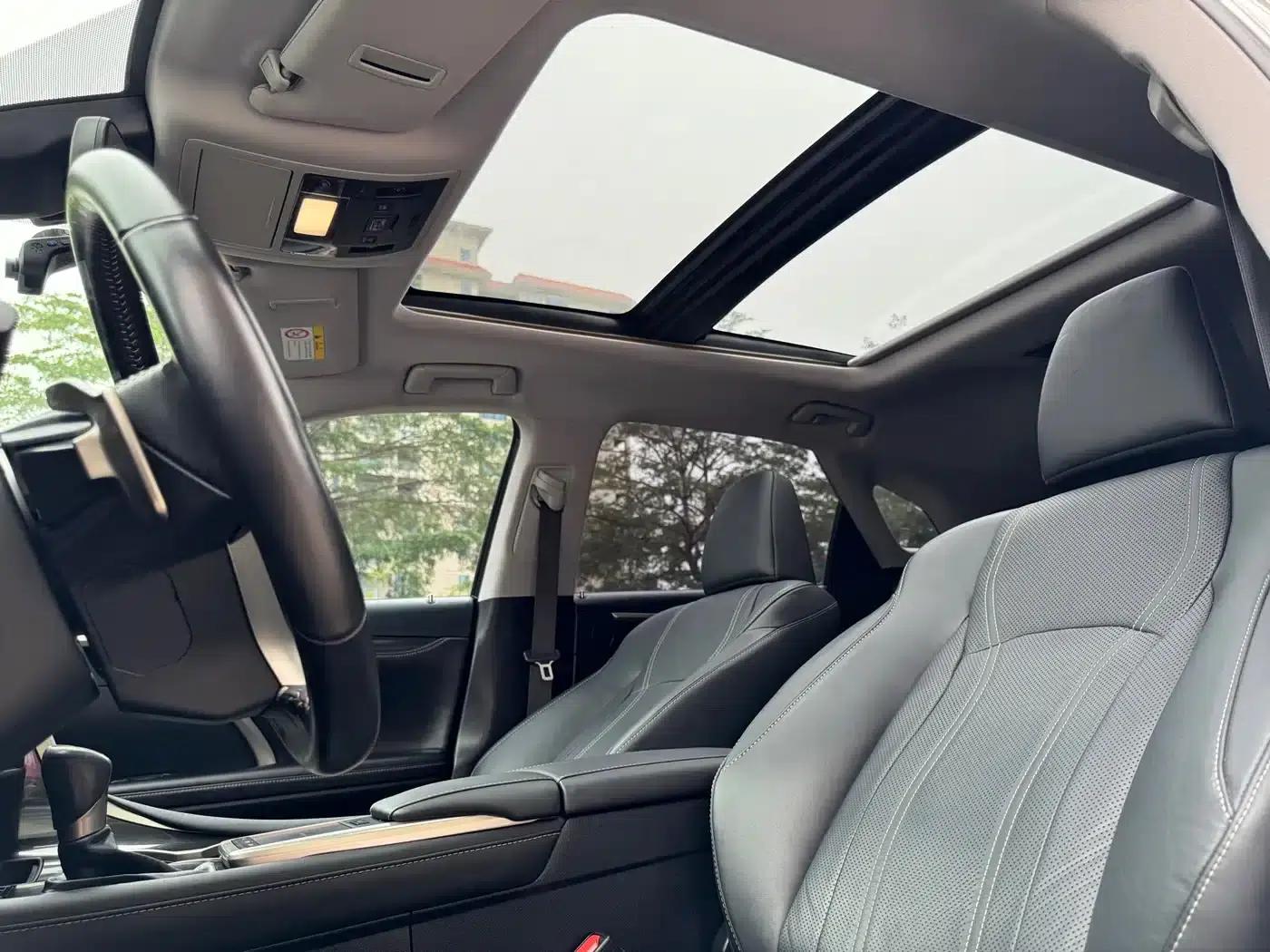 Lexus RX 2020 300 AWD Elegant Edition (China V Emission Standard) — миниатюра 18