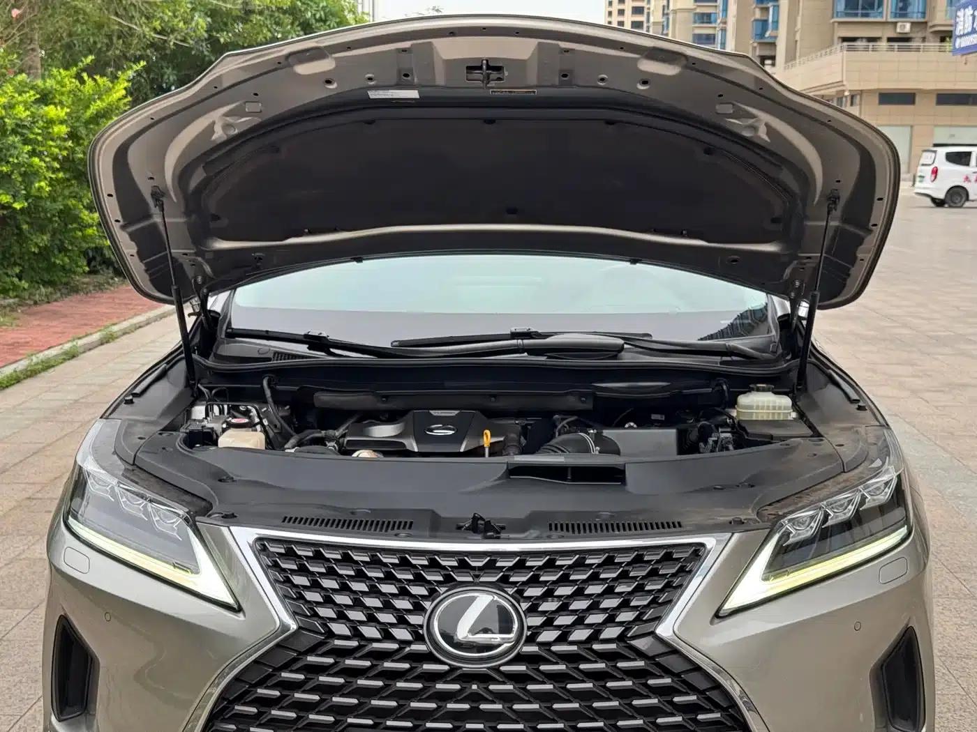 Lexus RX 2020 300 AWD Elegant Edition (China V Emission Standard) — миниатюра 21
