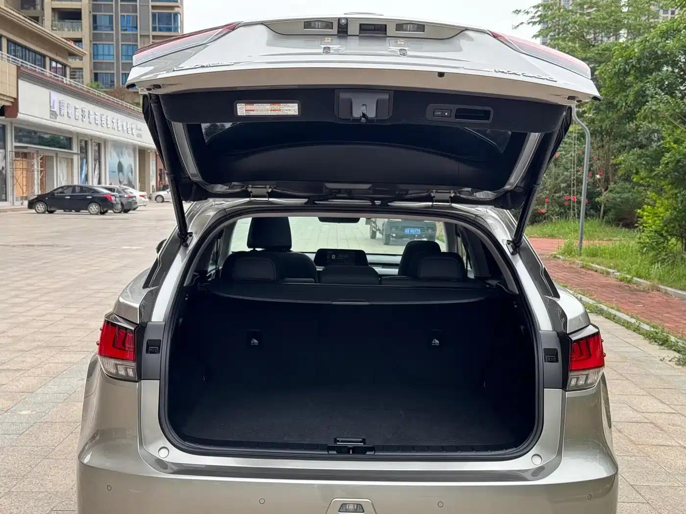 Lexus RX 2020 300 AWD Elegant Edition (China V Emission Standard) — миниатюра 24