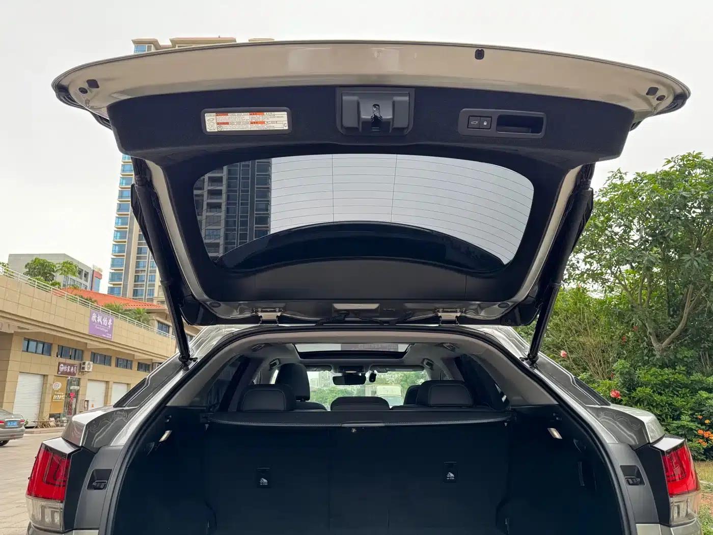 Lexus RX 2020 300 AWD Elegant Edition (China V Emission Standard) — миниатюра 25