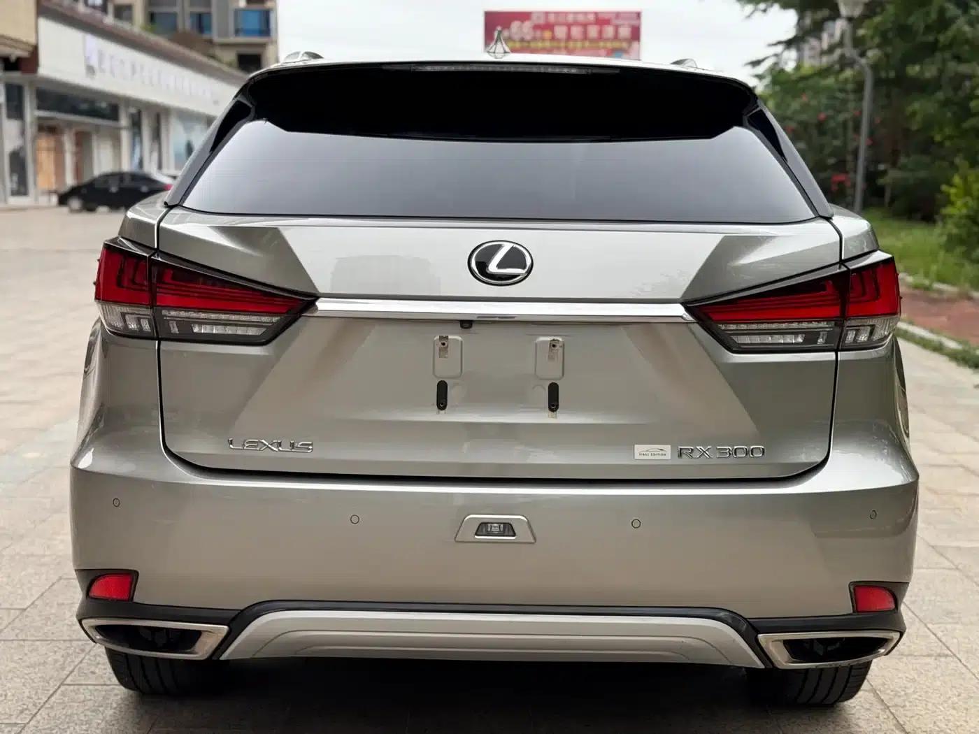 Lexus RX 2020 300 AWD Elegant Edition (China V Emission Standard) — миниатюра 4