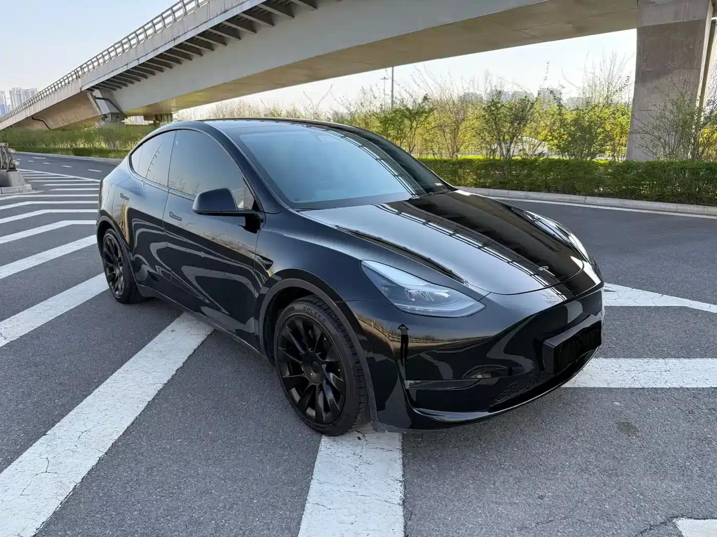 Model Y 2021 Standard Range Rear-Wheel Drive — миниатюра 3