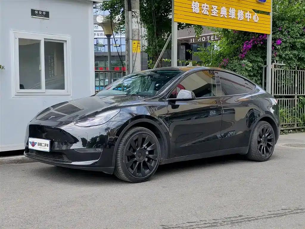 Model Y 2021 Standard Range Rear-Wheel Drive — миниатюра 1