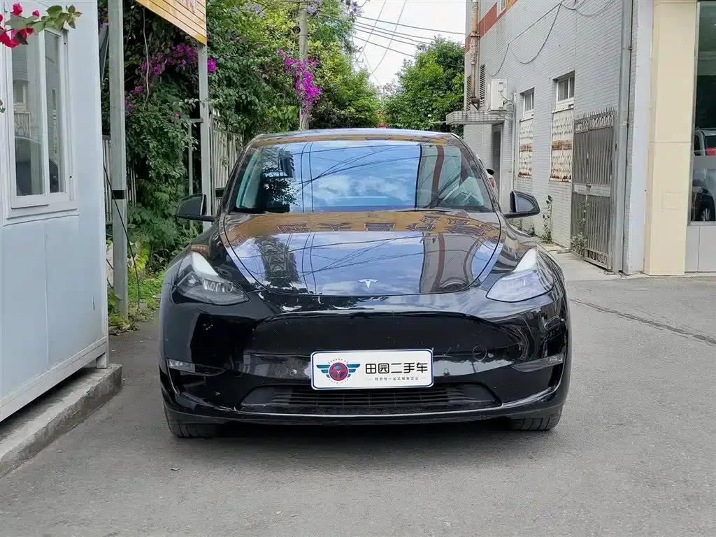Model Y 2021 Standard Range Rear-Wheel Drive — миниатюра 2