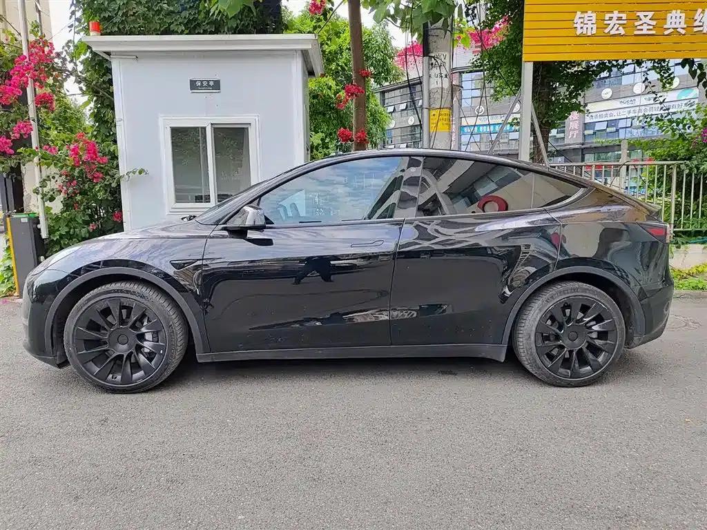 Model Y 2021 Standard Range Rear-Wheel Drive — миниатюра 3