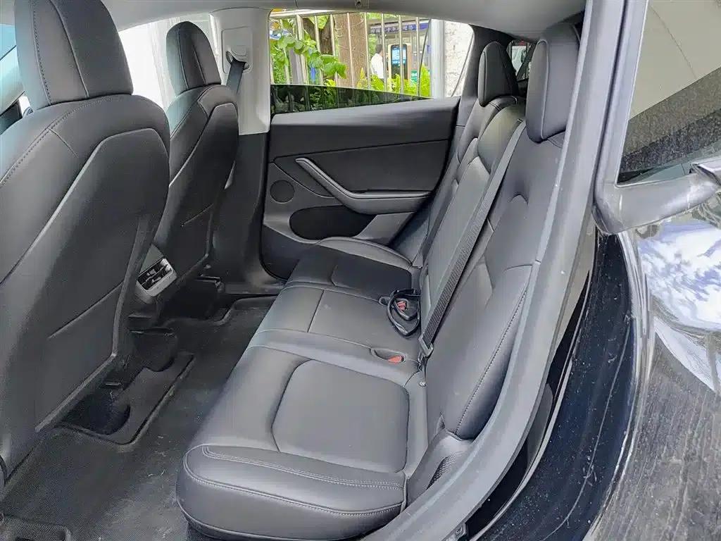 Model Y 2021 Standard Range Rear-Wheel Drive — миниатюра 8