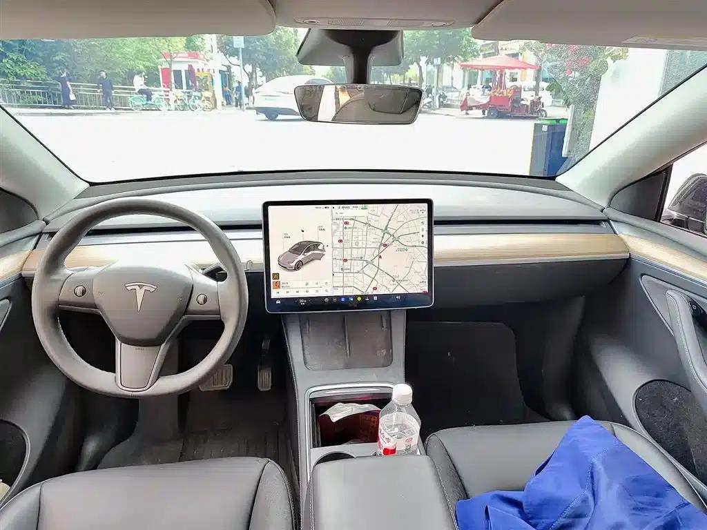Model Y 2021 Standard Range Rear-Wheel Drive — миниатюра 10