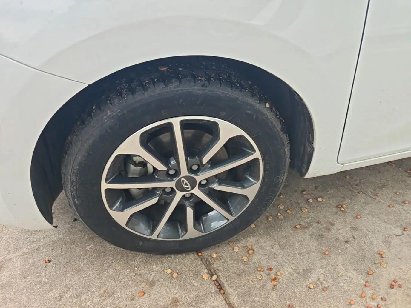 Chery Arrizo 5 2021 PRO 1.5L CVT Youth Edition — миниатюра 8