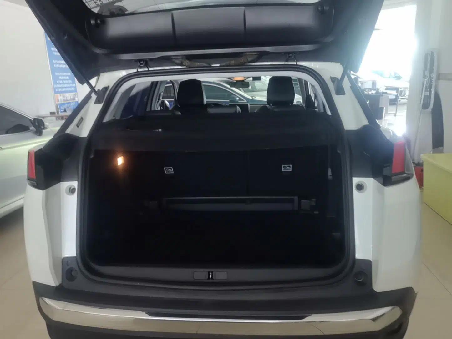 Peugeot 4008 2018 350THP Elite Edition — миниатюра 22