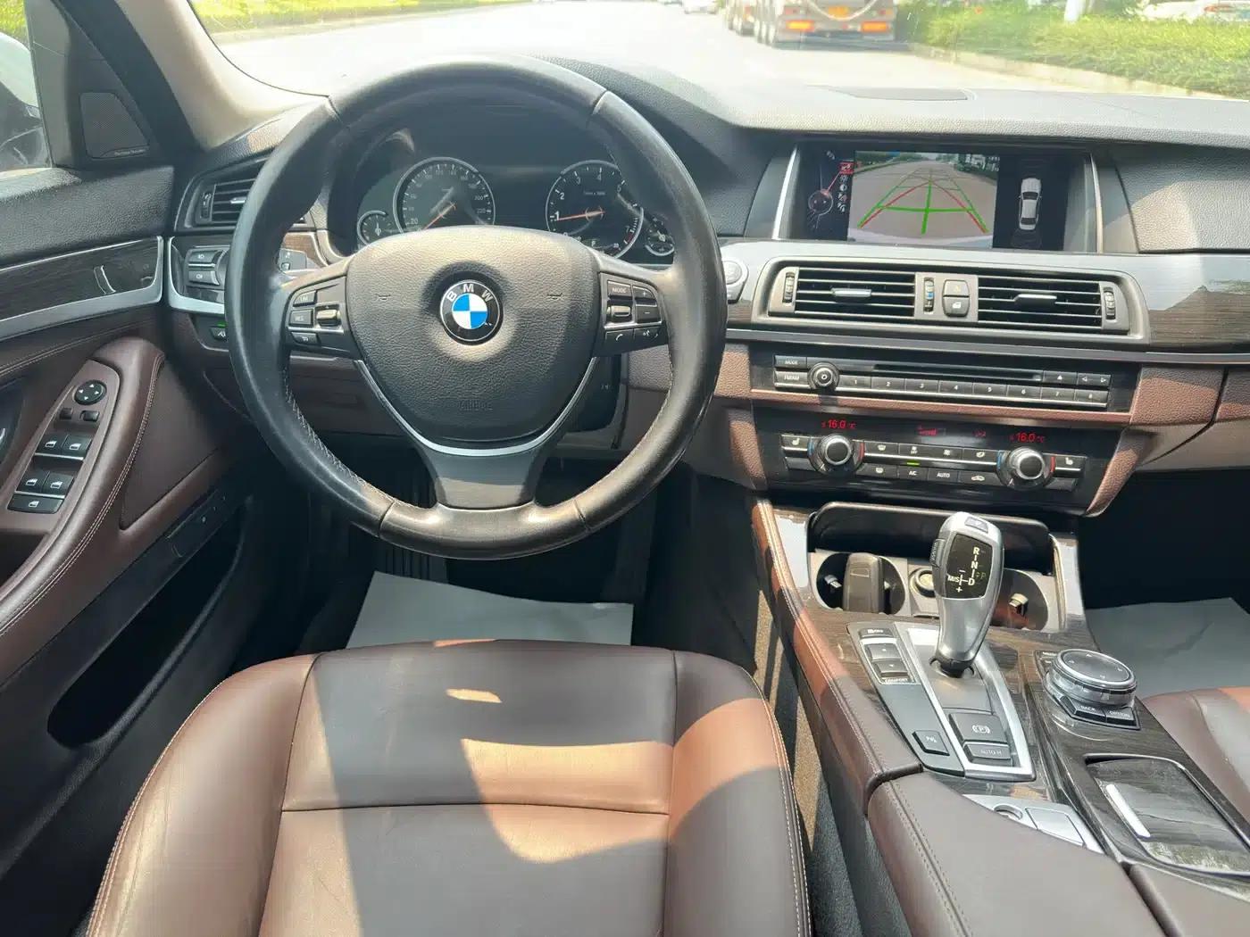 2017 BMW 5 Series 525Li Luxury Design Package — миниатюра 11