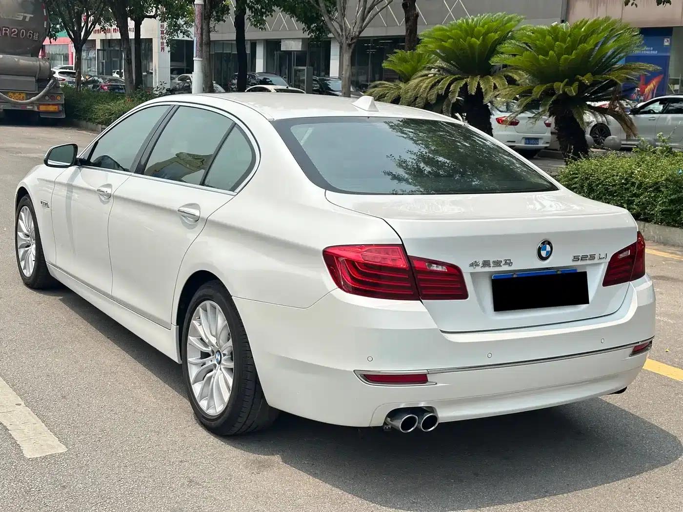 2017 BMW 5 Series 525Li Luxury Design Package — миниатюра 4