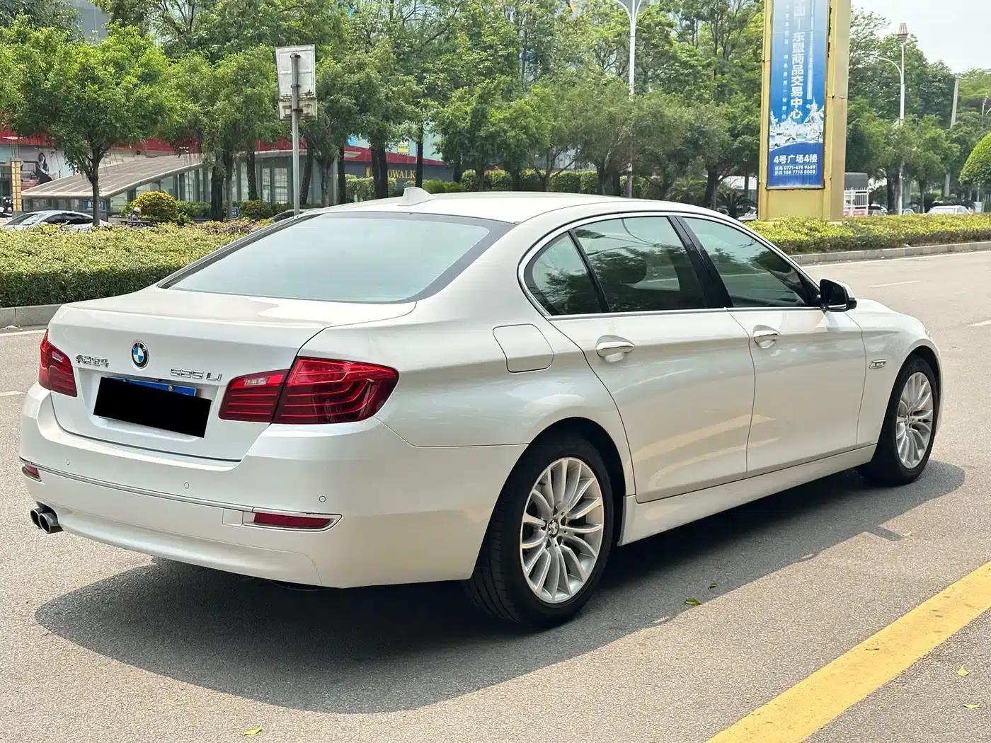 2017 BMW 5 Series 525Li Luxury Design Package — миниатюра 6