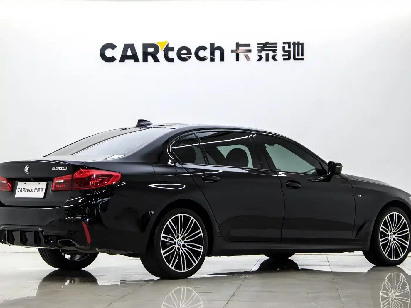2019 BMW 5 Series 530Li Leading Edition M Sport Package — миниатюра 13