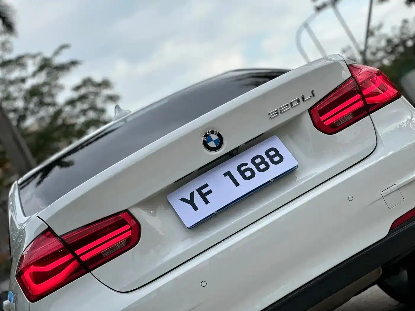 2018 BMW 3 Series 320Li Leading M Sport Package — миниатюра 8