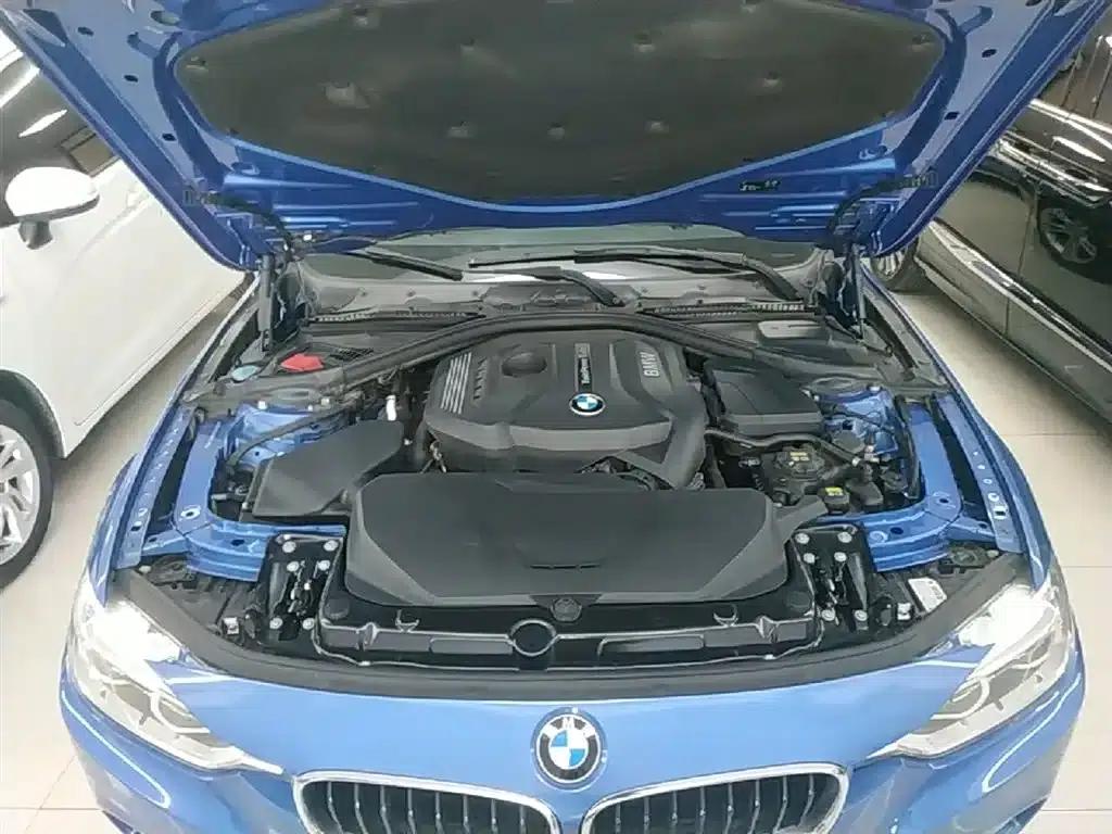 2017 BMW 3 Series 320Li M Sport — миниатюра 20