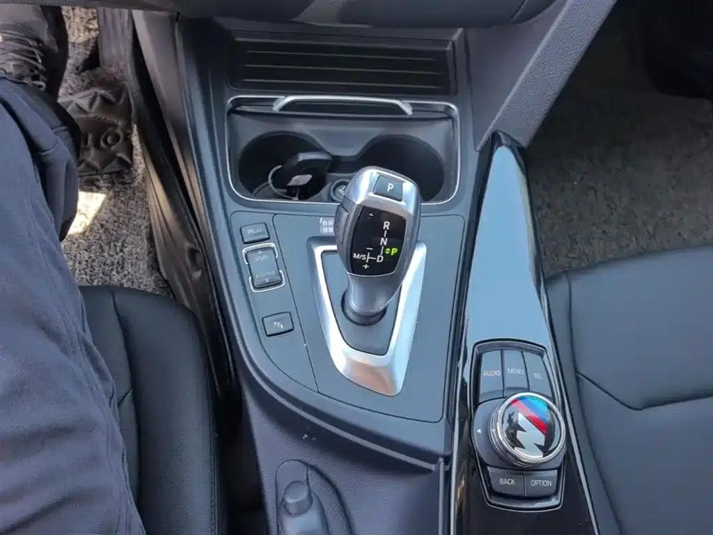 2016 BMW 3 Series 320Li Progressive — миниатюра 14