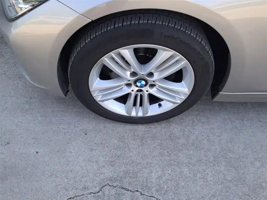 2016 BMW 3 Series 320Li Progressive — миниатюра 23