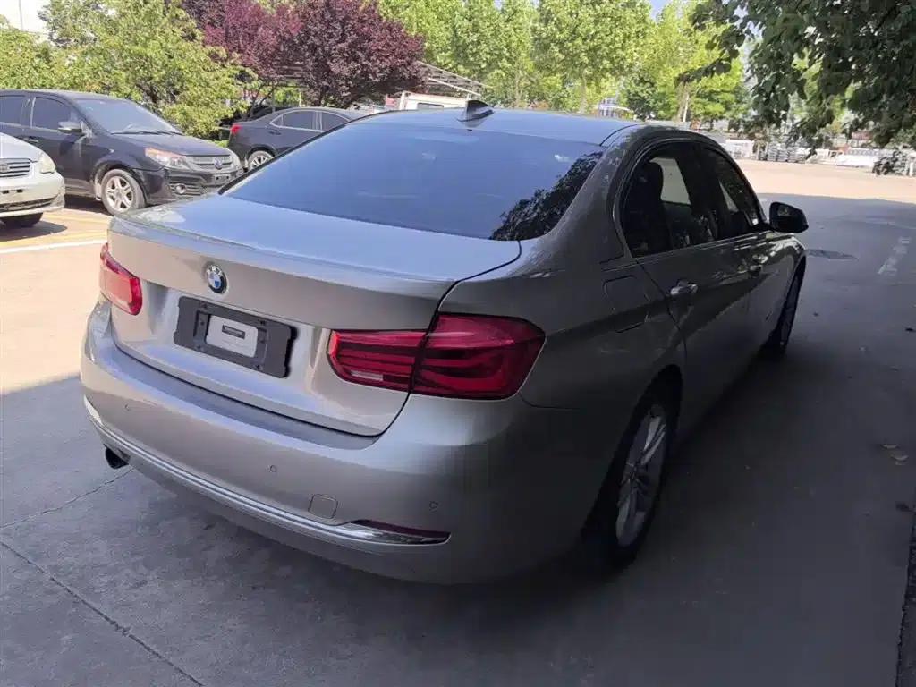 2016 BMW 3 Series 320Li Progressive — миниатюра 7