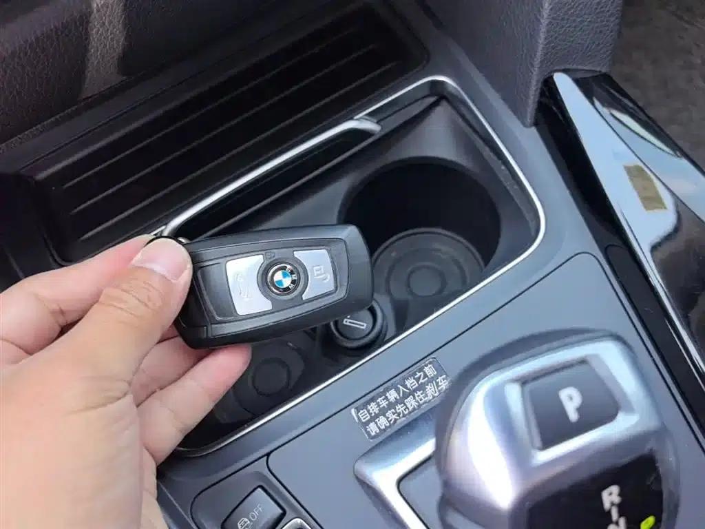 2016 BMW 3 Series 320Li Progressive — миниатюра 9