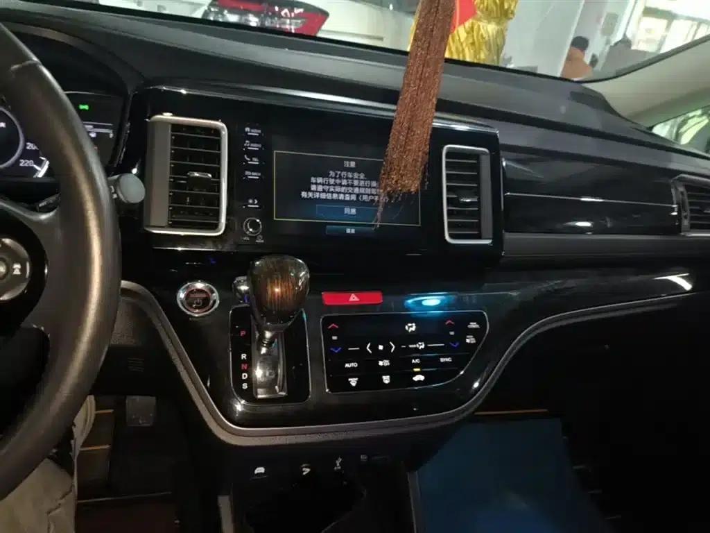 Elysion 2019 2.0L Hybrid Luxury Edition — миниатюра 13