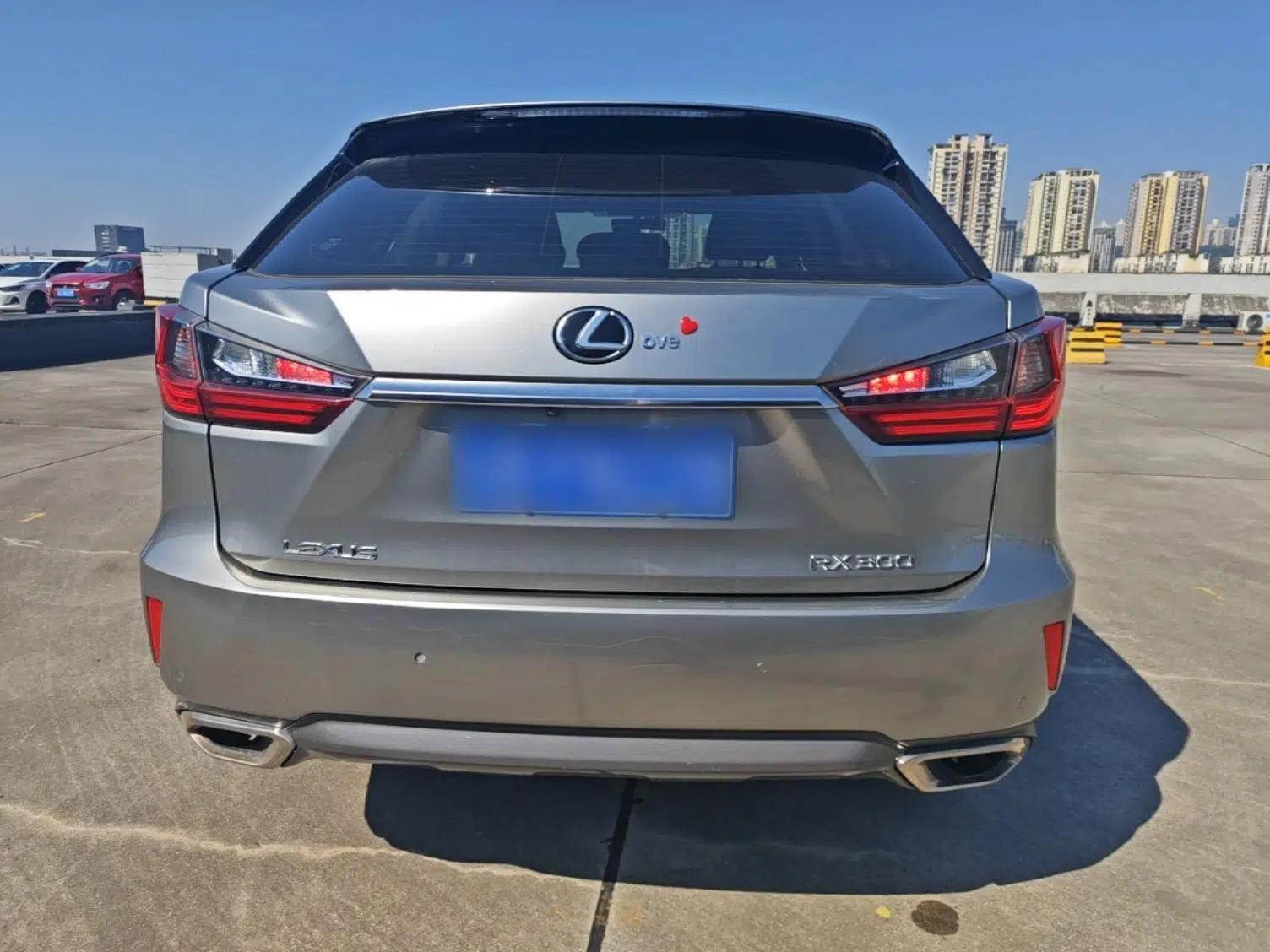 Lexus RX 2016 300 Two-Wheel Drive Elite Version China V Standard — миниатюра 5