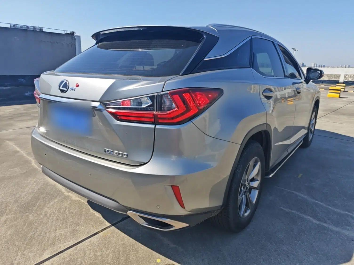 Lexus RX 2016 300 Two-Wheel Drive Elite Version China V Standard — миниатюра 6